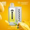 Hayati Infinity 6000 комплекта шушулки - 82P0163 Hayati Vape Bulgaria тропическо манго